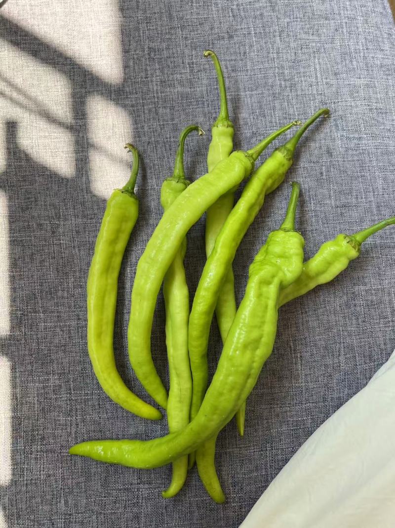 辣椒味道好零农残留健身食材