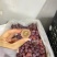 【基地直发】陕西红提精品红提颗粒饱满品质保证欢迎咨询