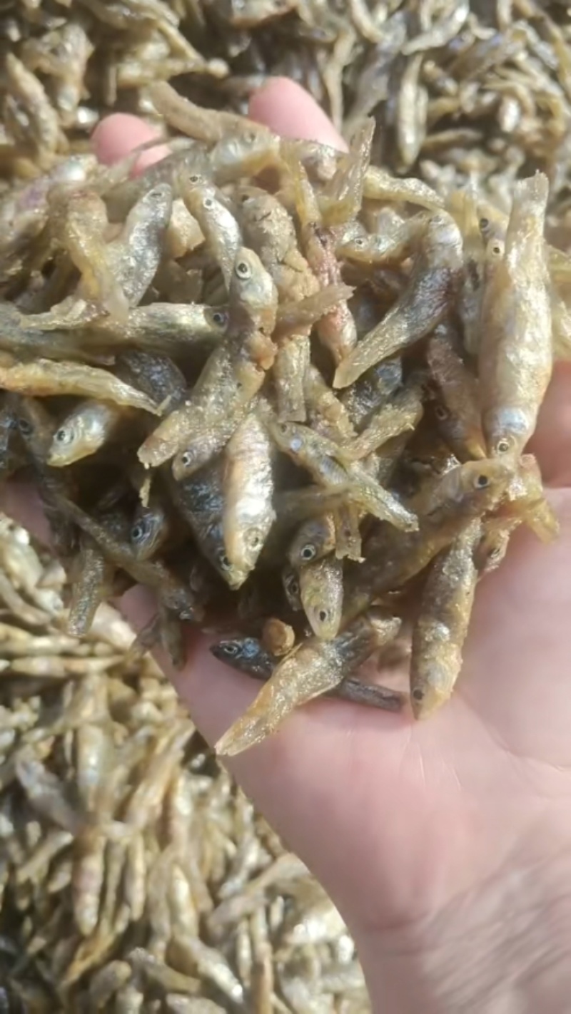 油炸麦穗鱼干