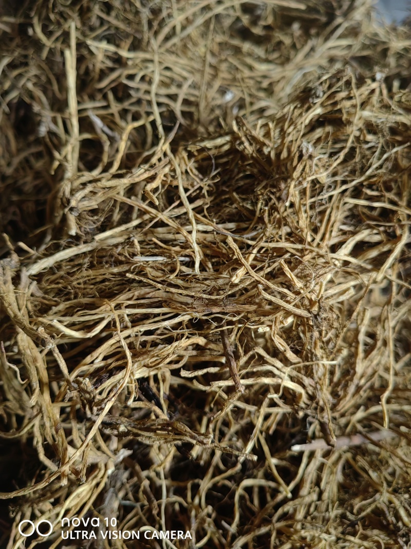 龙胆草