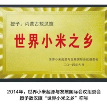 敖汉小米厂家直销供应商
