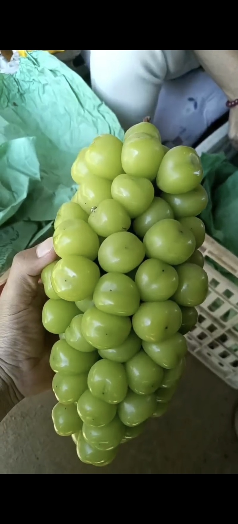 阳光玫瑰，大颗粒，串型紧凑，糖份高，硬度好，亮度强