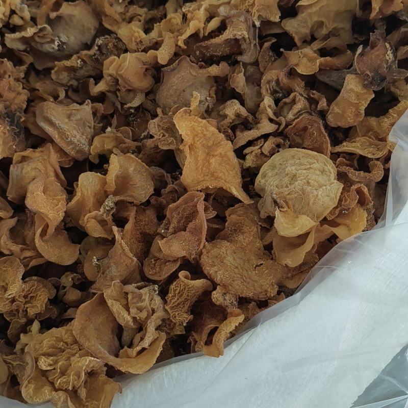 羊肚耳，大量货源筛选货无杂质无黑点无黑斑