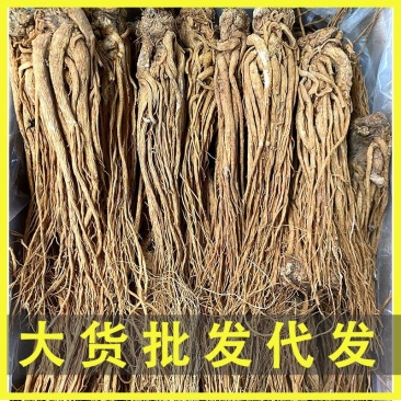 全当归当归头当归片规格齐全大量现货直销价格可谈有货