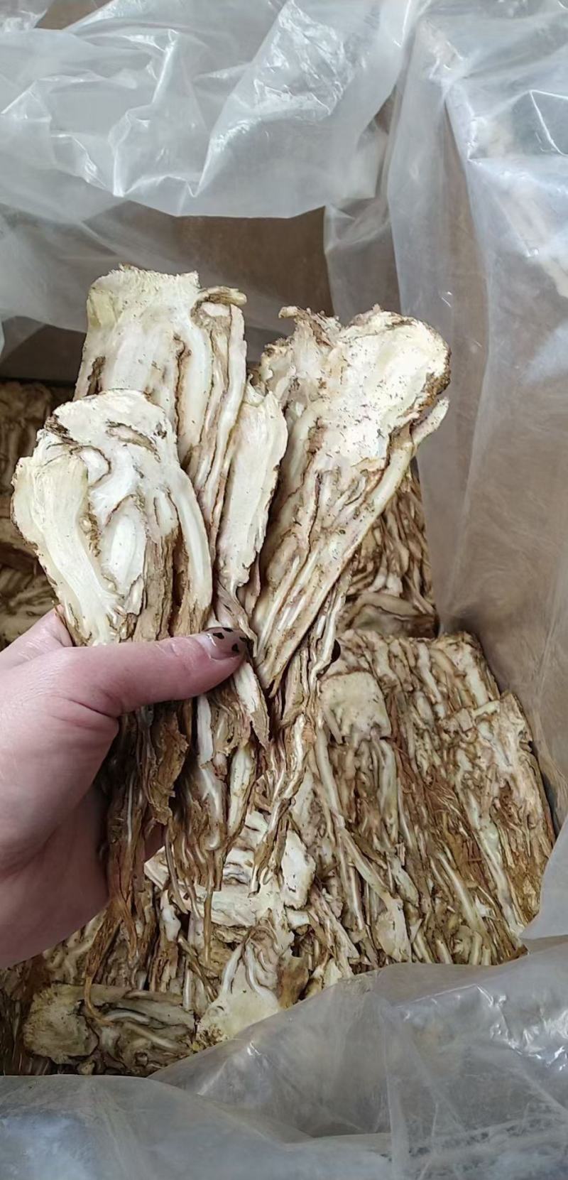 全当归当归头当归片规格齐全大量现货直销价格可谈有货