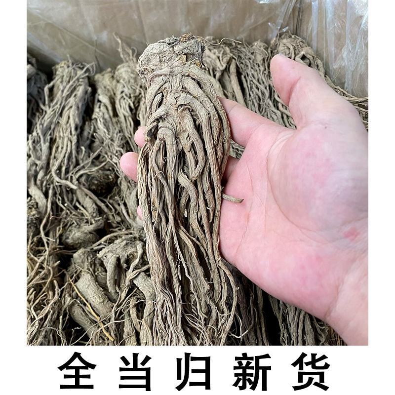 全当归当归头当归片规格齐全大量现货直销价格可谈有货