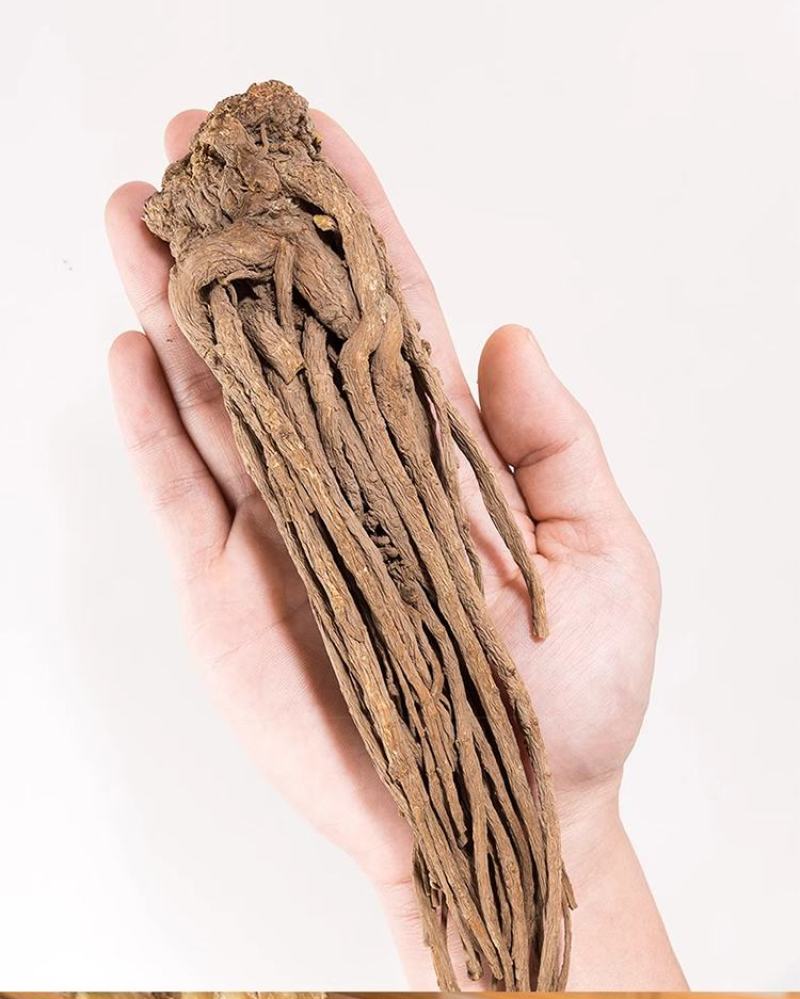 全当归当归头当归片规格齐全大量现货直销价格可谈有货
