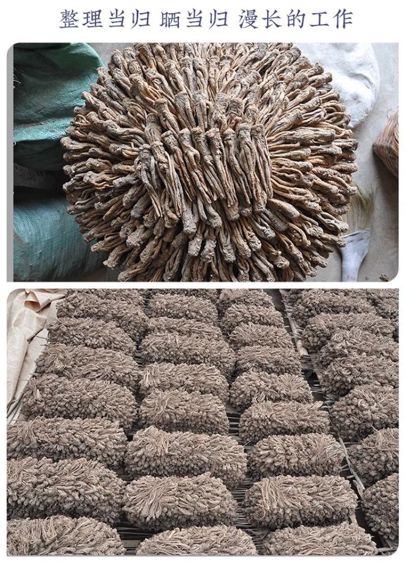 全当归当归头当归片规格齐全大量现货直销价格可谈有货