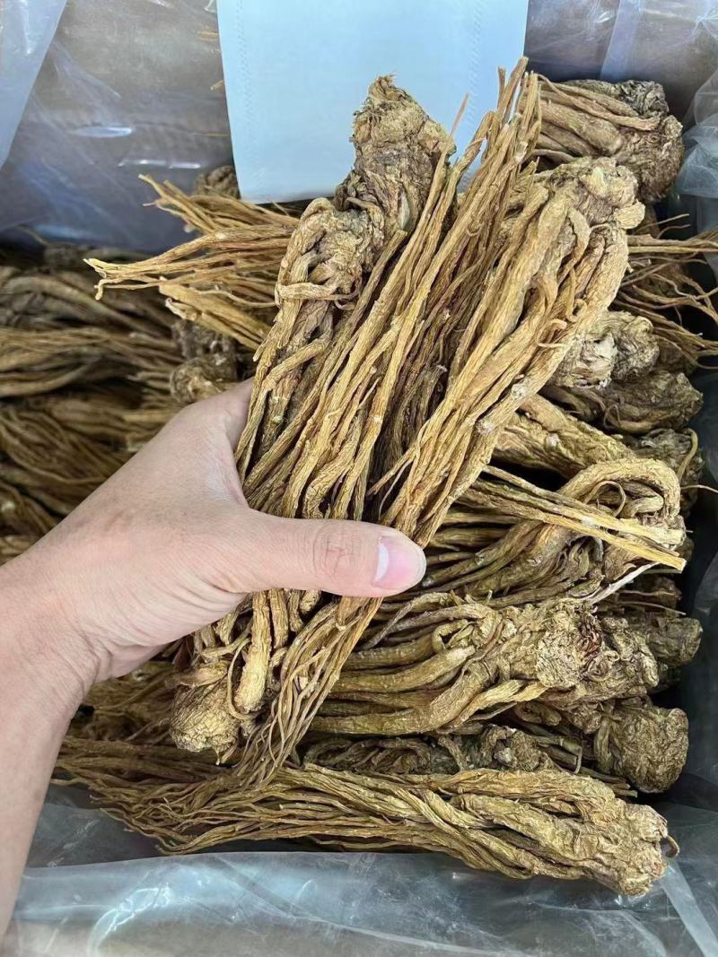 全当归当归头当归片规格齐全大量现货直销价格可谈有货