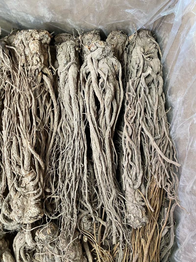全当归当归头当归片规格齐全大量现货直销价格可谈有货