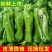 江苏精品芜湖薄皮辣椒大量供应，全国发货，保质保量，诚信经营