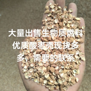 酸枣壳生物质燃料优质酸枣壳