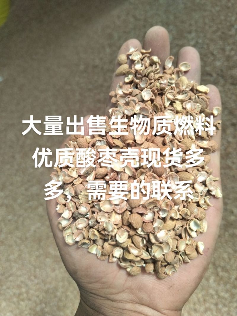 酸枣壳生物质燃料优质酸枣壳