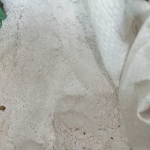 滑石粉