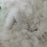铵明矾白矾