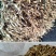 野生麦冬大颗粒无碎无杂质味道浓颗粒饱满场地大货颜色好批发