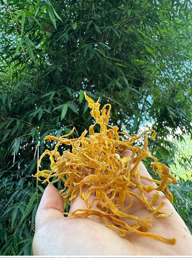 笋干竹笋黄笋大条颜色好口感脆嫩耐放笋子新货干笋子批发稳定