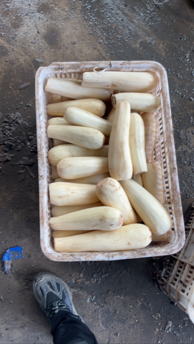 腌制藕段