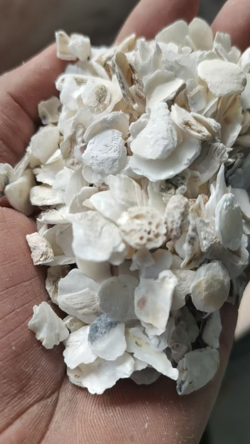 贝壳粉