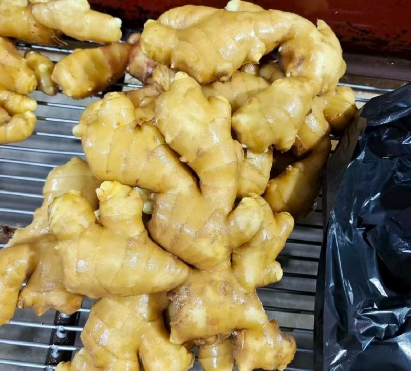 实力推荐山东生姜老姜大黄姜常年供货量大从优联系