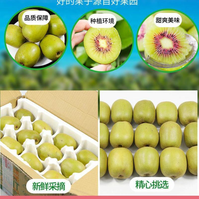 六盘水红心猕猴桃软糯多汁香甜可口整箱包邮