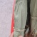 两面青粽叶