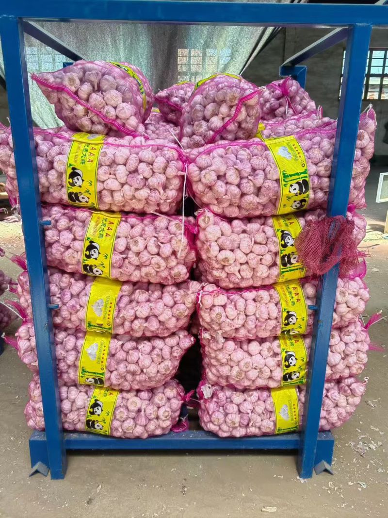 金乡大蒜出口外贸货，专业加工代发代存冷库出租
