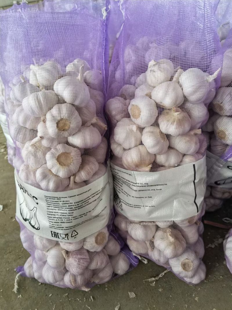 金乡大蒜出口外贸货，专业加工代发代存冷库出租