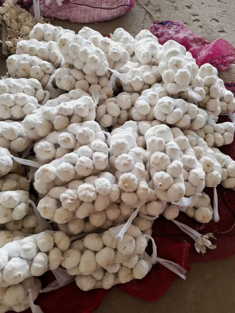 金乡大蒜出口外贸货，专业加工代发代存冷库出租