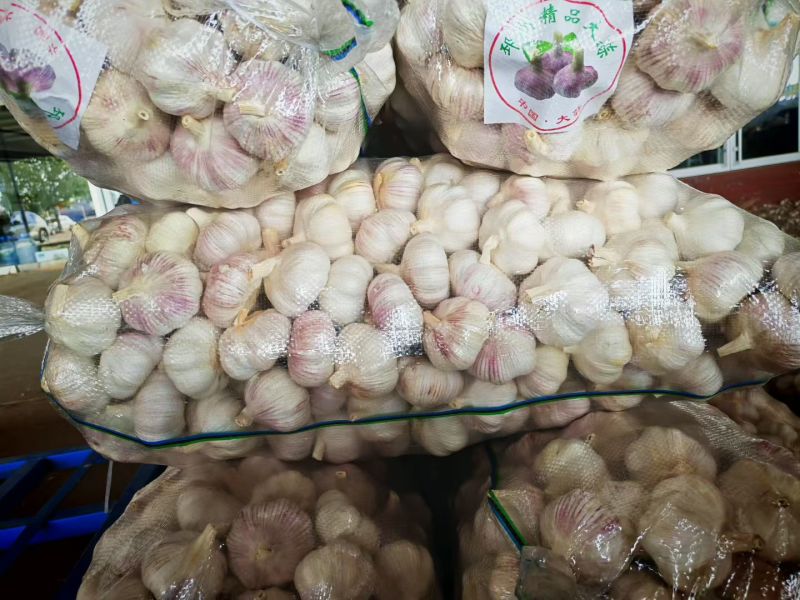 金乡大蒜出口外贸货，专业加工代发代存冷库出租