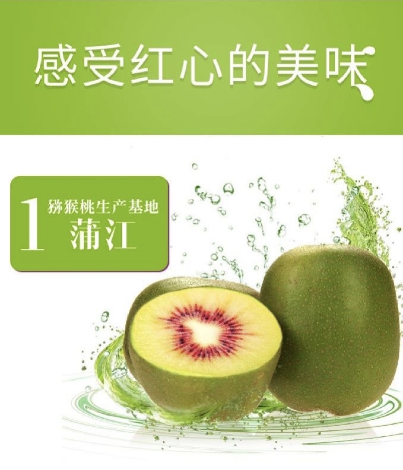 现货，一件代发红心猕猴桃，新鲜现摘，一手货源