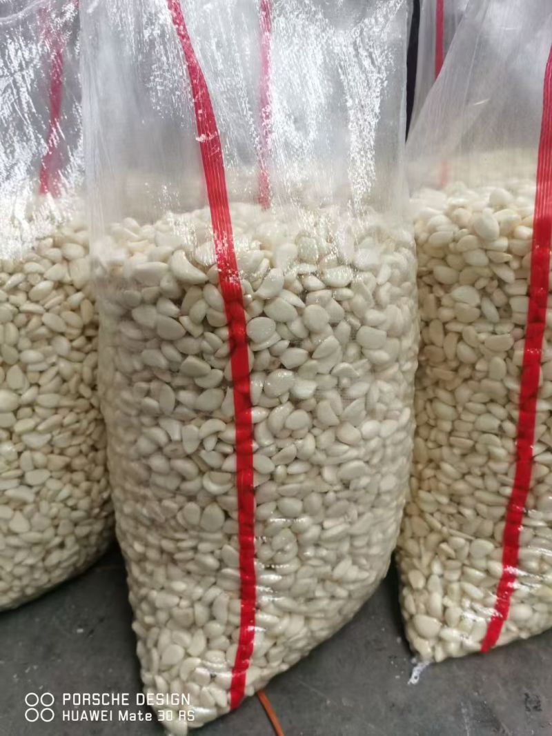 蒜米料金乡大蒜加工蒜米库存老蒜白皮蒜代发全国