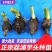 正宗高产荔浦芋头种子