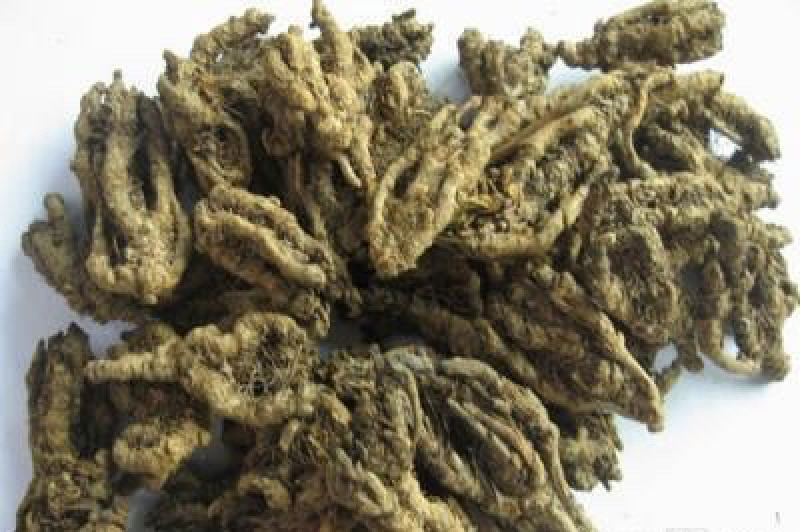 石柱黄莲味莲，一手货源，全国供应，量大从优，诚信经营