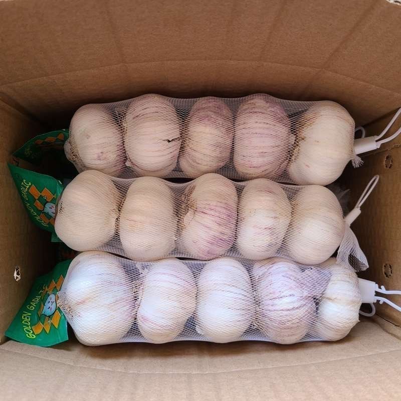 山东大蒜紫皮太空蒜商电商货加工3/5/8斤常年供应