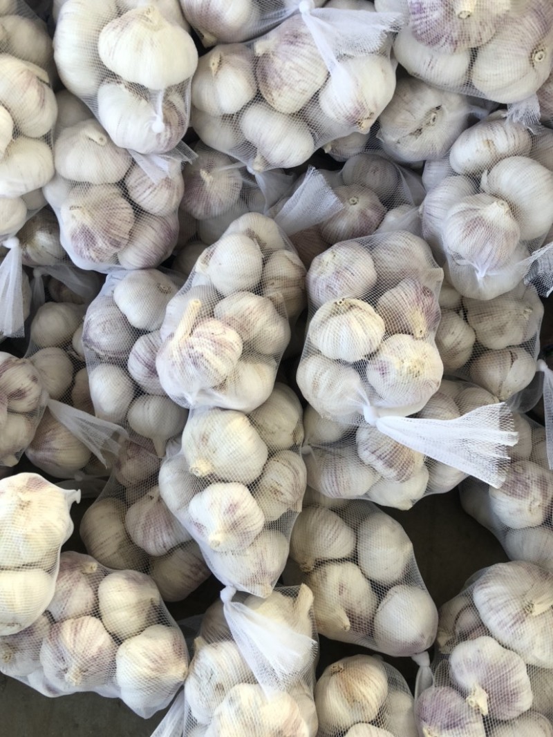 山东大蒜紫皮太空蒜商电商货加工3/5/8斤常年供应