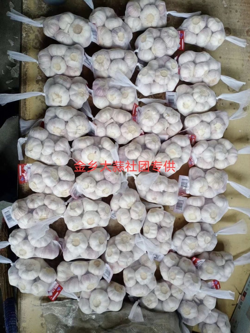 山东大蒜紫皮太空蒜商电商货加工3/5/8斤常年供应