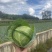 小铁头大量上市