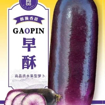 高档水果萝卜种子/甜脆可口/糖度9%