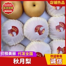 优质万亩秋月梨口感脆甜无渣实力全国代发