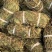 狸尾草【包邮】三斤起发货可批量可零售量大从优