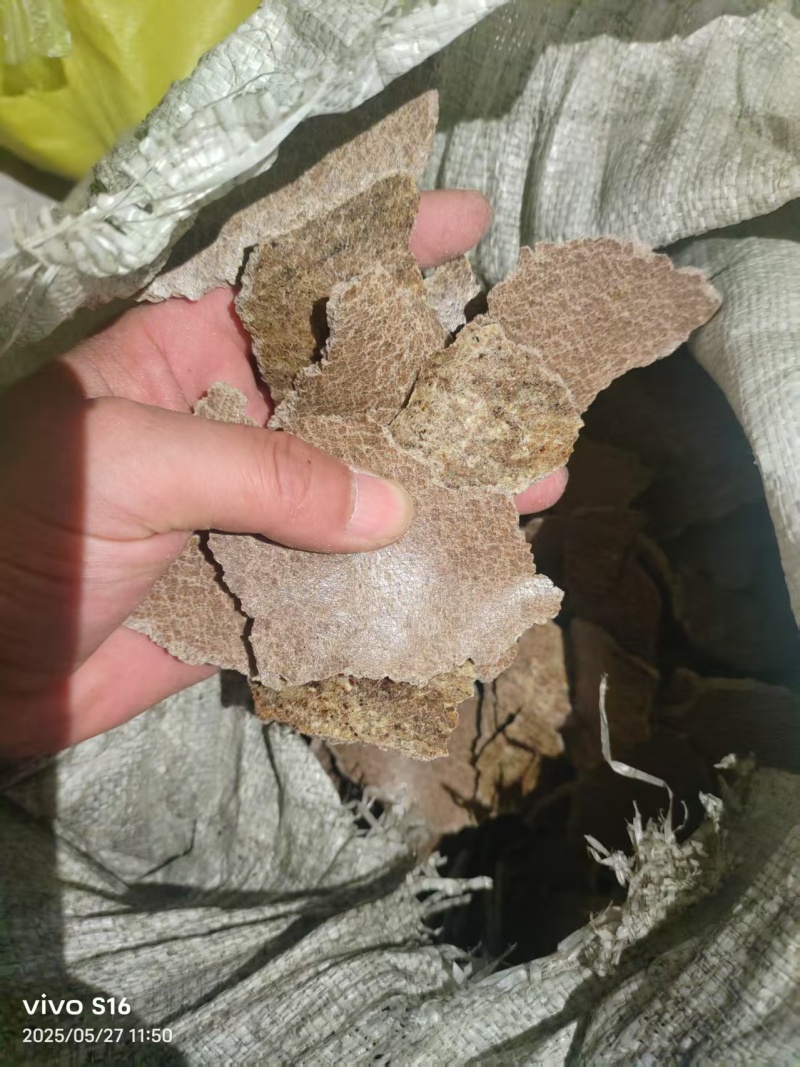 优质菜籽饼，养殖育肥，饲料添加，农作物种植底肥，