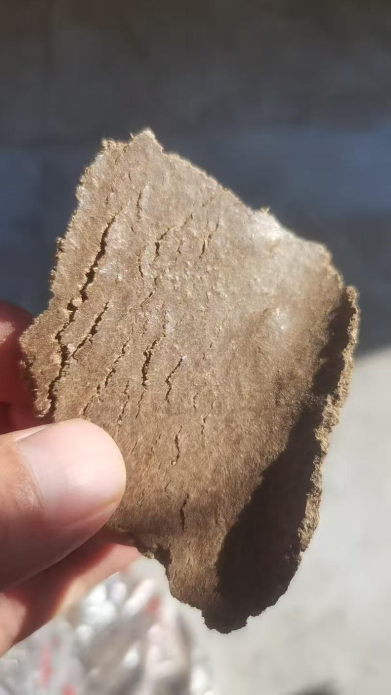 二级菜籽饼，适合各种农作物种植底肥，养殖育肥，饲料添加
