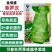香罗汉莴笋种子春秋越冬莴苣种子嫩白皮香莴笋种籽