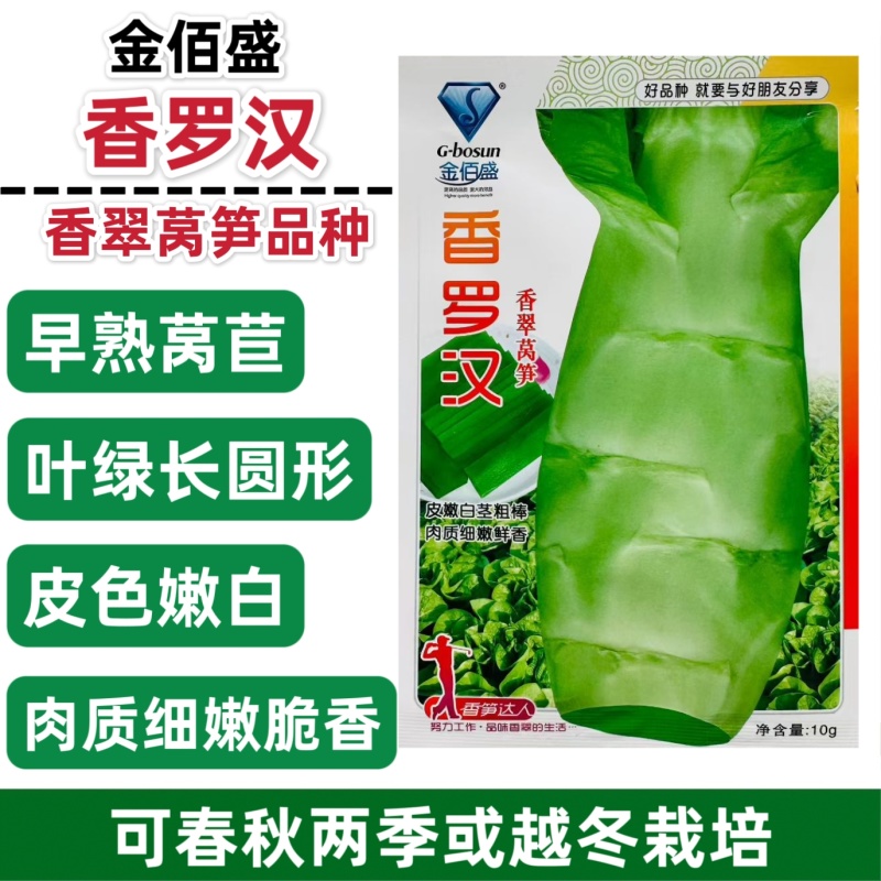 香罗汉莴笋种子春秋越冬莴苣种子嫩白皮香莴笋种籽