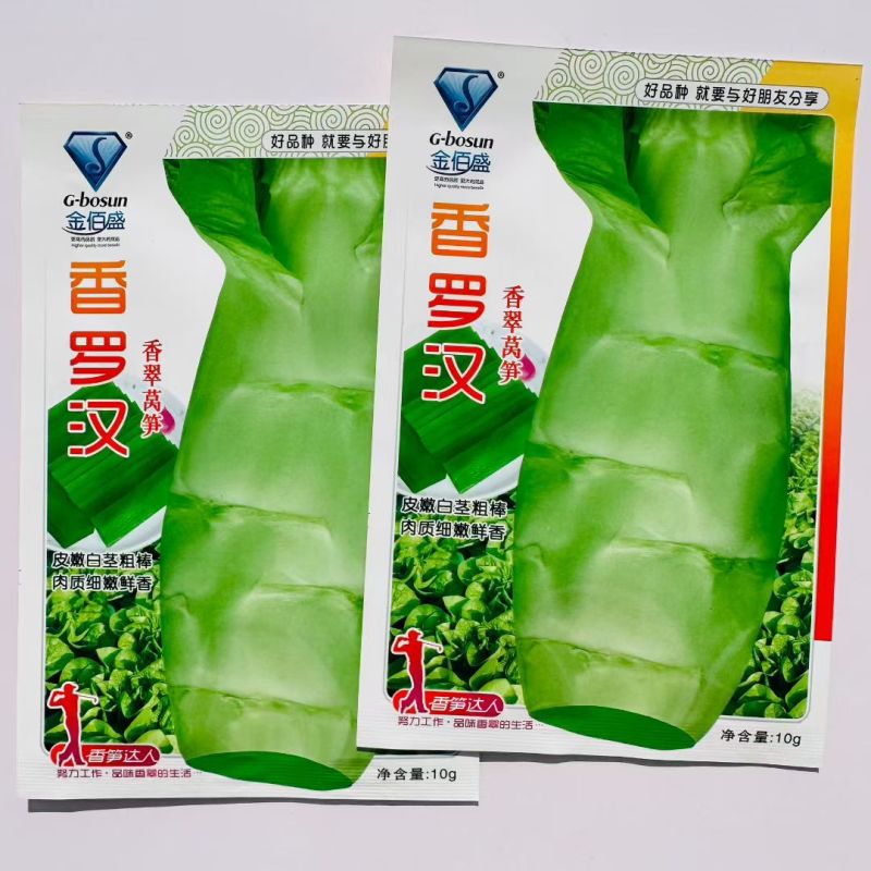 香罗汉莴笋种子春秋越冬莴苣种子嫩白皮香莴笋种籽