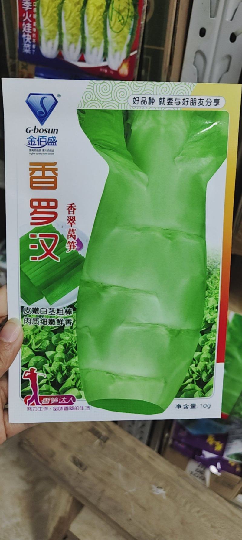 香罗汉莴笋种子春秋越冬莴苣种子嫩白皮香莴笋种籽