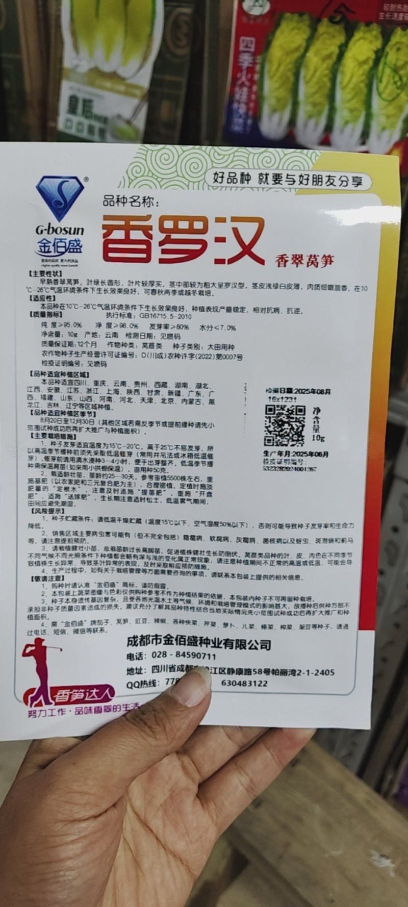 香罗汉莴笋种子春秋越冬莴苣种子嫩白皮香莴笋种籽