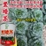 黑矮苏趴地型油亮苏州青种子耐寒性强矮脚口感软糯清甜青菜种