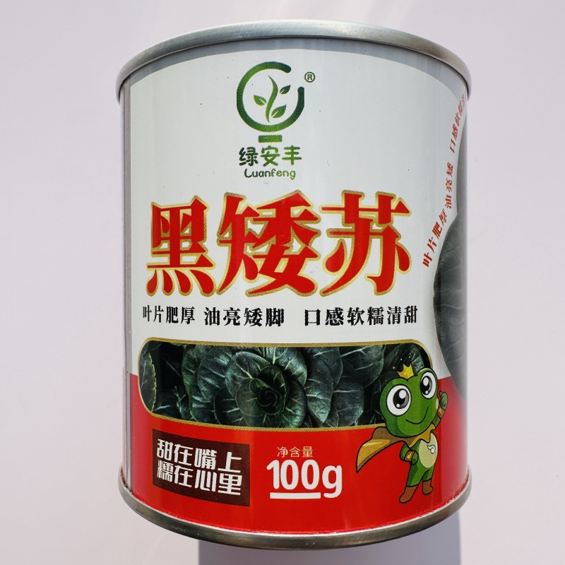 黑矮苏趴地型油亮苏州青种子耐寒性强矮脚口感软糯清甜青菜种